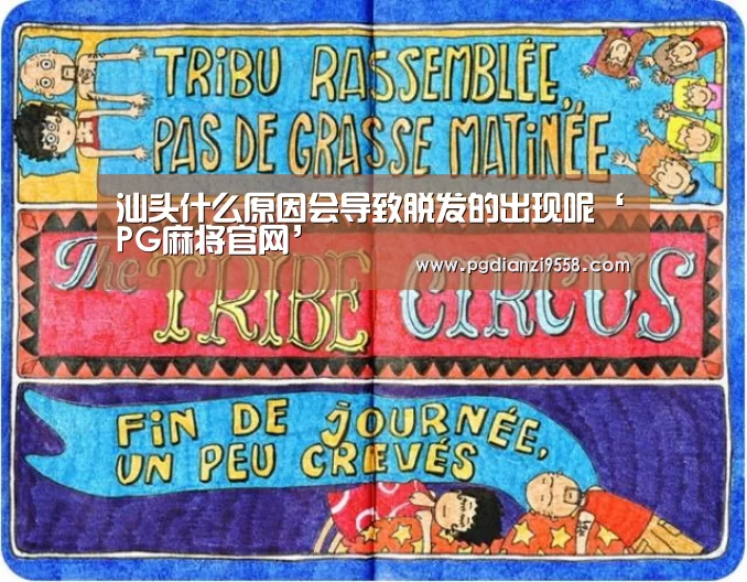 PG麻将官网