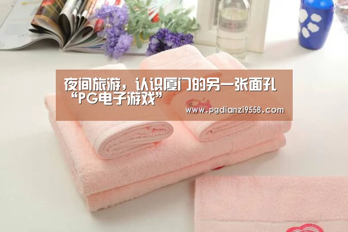 夜间旅游,认识厦门的另一张面孔“PG电子游戏”(图1) PG麻将官网