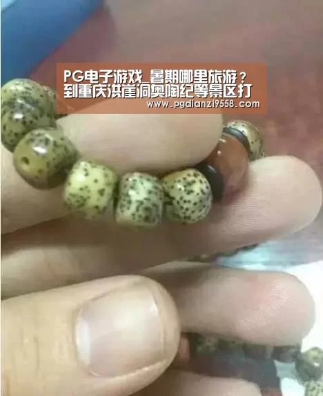 PG麻将官网