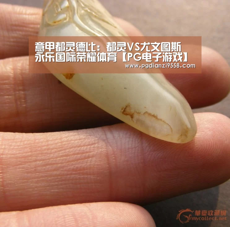 意甲都灵德比:都灵VS尤文图斯 永乐国际荣耀体育【PG电子游戏】(图1) PG登录入口