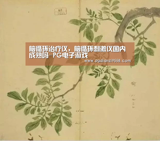 PG麻将官网